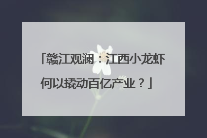 赣江观澜：江西小龙虾何以撬动百亿产业？