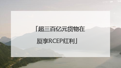 超三百亿元货物在厦享RCEP红利