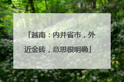 越南：内并省市，外近金砖，意思很明确