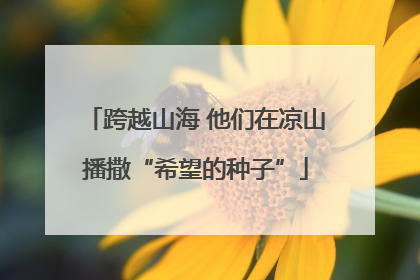 跨越山海 他们在凉山播撒“希望的种子”