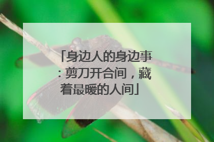 身边人的身边事：剪刀开合间，藏着最暖的人间