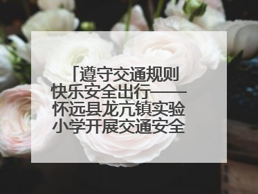 遵守交通规则 快乐安全出行——怀远县龙亢镇实验小学开展交通安全教育宣讲活动