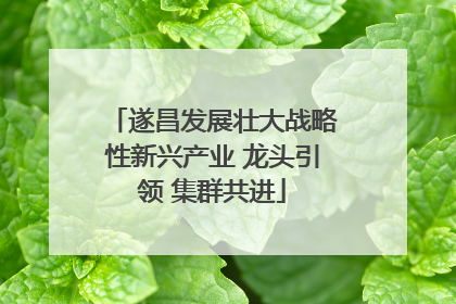 遂昌发展壮大战略性新兴产业 龙头引领 集群共进