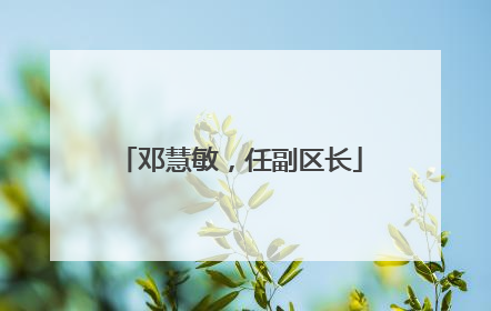 邓慧敏，任副区长