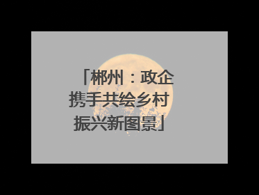 郴州：政企携手共绘乡村振兴新图景