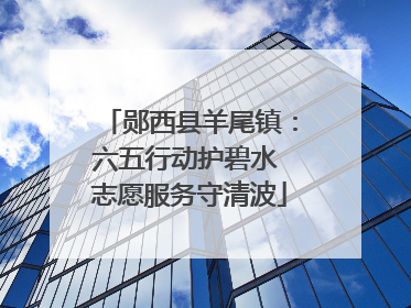 郧西县羊尾镇：六五行动护碧水 志愿服务守清波
