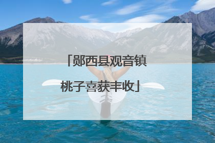 郧西县观音镇桃子喜获丰收