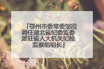 鄂州市委常委邹霞调任湖北省纪委监委派驻省人大机关纪检监察组组长