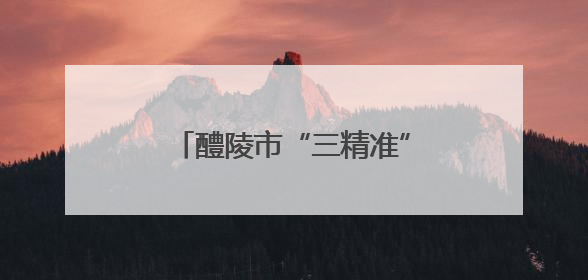 醴陵市“三精准”培训模式锻造乡村健康“守门人”