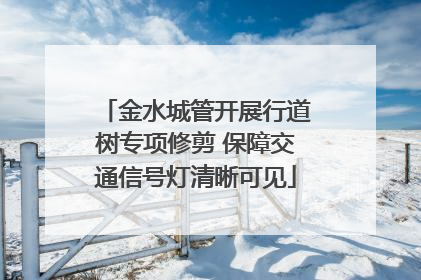 金水城管开展行道树专项修剪 保障交通信号灯清晰可见