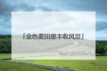 金色麦田里丰收风景