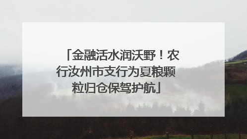 金融活水润沃野！农行汝州市支行为夏粮颗粒归仓保驾护航