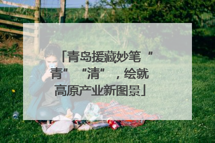 青岛援藏妙笔“青”“清”，绘就高原产业新图景