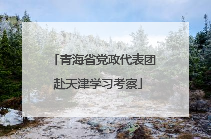 青海省党政代表团赴天津学习考察