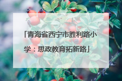 青海省西宁市胜利路小学：思政教育拓新路