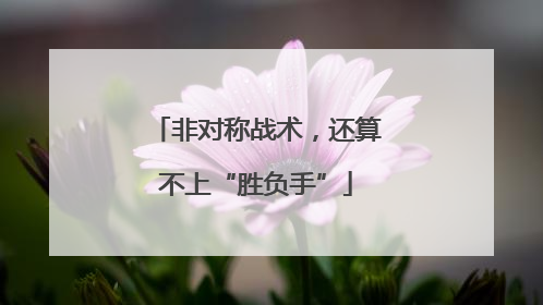 非对称战术，还算不上“胜负手”