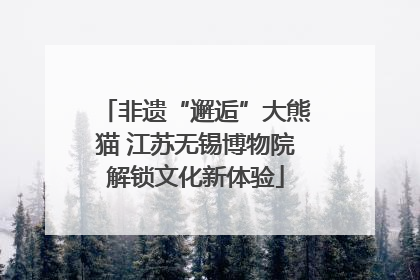 非遗“邂逅”大熊猫 江苏无锡博物院解锁文化新体验