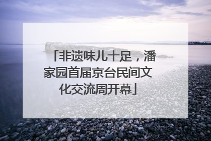 非遗味儿十足，潘家园首届京台民间文化交流周开幕