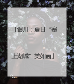 银川：夏日“塞上湖城”美如画