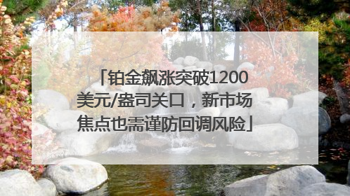 铂金飙涨突破1200美元/盎司关口，新市场焦点也需谨防回调风险