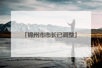 锦州市市长已调整