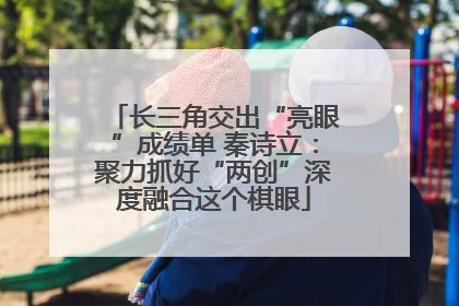 长三角交出“亮眼”成绩单 秦诗立：聚力抓好“两创”深度融合这个棋眼