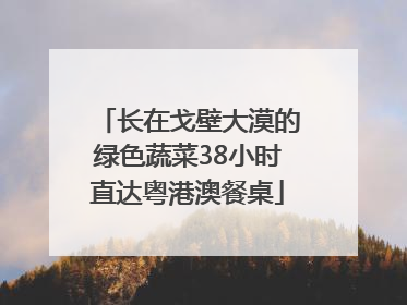 长在戈壁大漠的绿色蔬菜38小时直达粤港澳餐桌