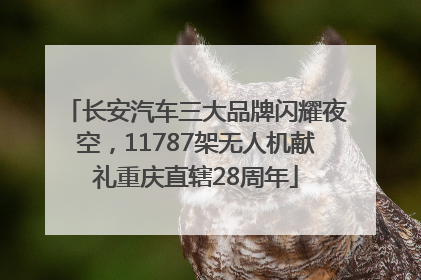 长安汽车三大品牌闪耀夜空，11787架无人机献礼重庆直辖28周年