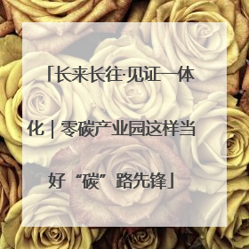 长来长往·见证一体化｜零碳产业园这样当好“碳”路先锋