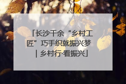 长沙千余“乡村工匠”巧手织就振兴梦｜乡村行·看振兴