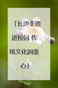 长沙非遗进校园 传统文化润童心