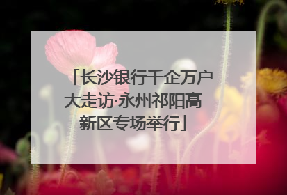 长沙银行千企万户大走访·永州祁阳高新区专场举行