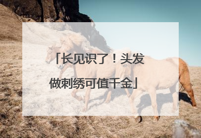 长见识了！头发做刺绣可值千金