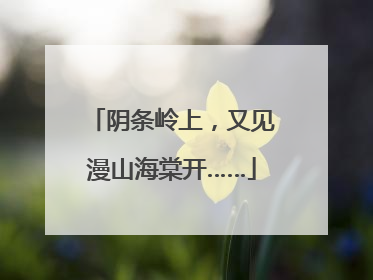 阴条岭上，又见漫山海棠开……