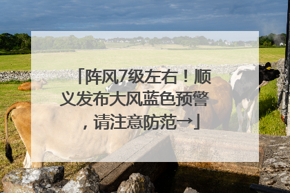 阵风7级左右！顺义发布大风蓝色预警，请注意防范→