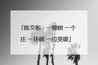 陈文彬：一棵树 一个庄 一块碑 一位英雄