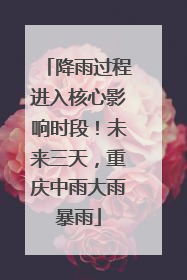 降雨过程进入核心影响时段！未来三天，重庆中雨大雨暴雨