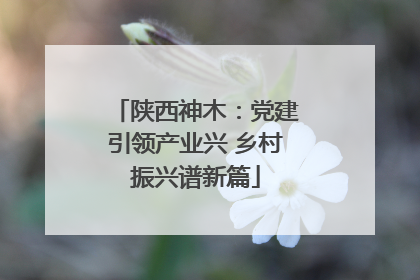 陕西神木：党建引领产业兴 乡村振兴谱新篇