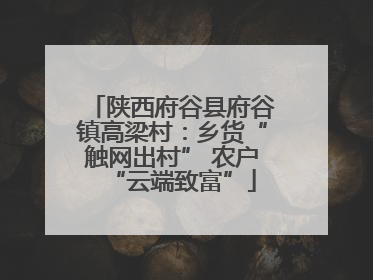 陕西府谷县府谷镇高梁村：乡货“触网出村” 农户“云端致富”