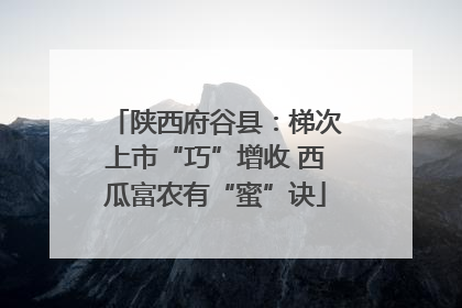 陕西府谷县：梯次上市“巧”增收 西瓜富农有“蜜”诀