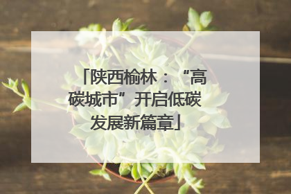 陕西榆林：“高碳城市”开启低碳发展新篇章