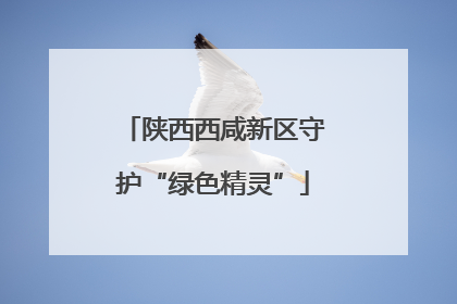 陕西西咸新区守护“绿色精灵”