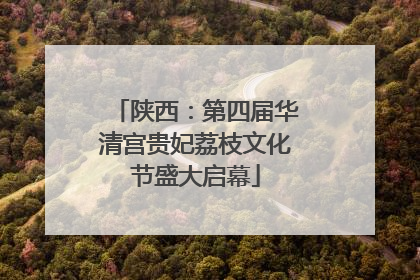 陕西：第四届华清宫贵妃荔枝文化节盛大启幕