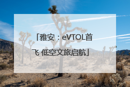 雅安：eVTOL首飞 低空文旅启航