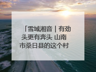 雪域湘音｜有劲头更有奔头 山南市桑日县的这个村落迎来蜕变