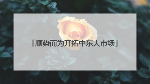 顺势而为开拓中东大市场