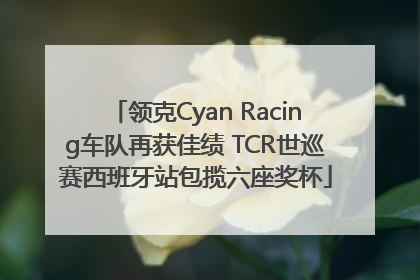 领克Cyan Racing车队再获佳绩 TCR世巡赛西班牙站包揽六座奖杯