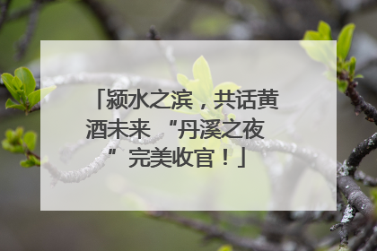 颍水之滨，共话黄酒未来 “丹溪之夜”完美收官！