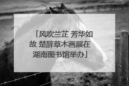 风吹兰芷 芳华如故 楚辞草木画展在湖南图书馆举办