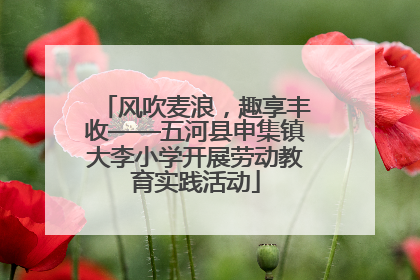 风吹麦浪，趣享丰收——五河县申集镇大李小学开展劳动教育实践活动